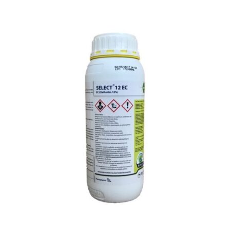 ΖΙΖΑΝΙΟΚΤΟΝΟ SELECT 12EC