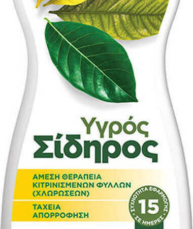 ΥΓΡΟΣ ΣΙΔΗΡΟΣ GEMMA 300ml