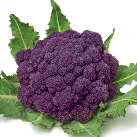 ΣΠΟΡΟΦΥΤΑ ΜΠΡΟΚΟΛΟ ΜΩΒ 8 ΤΕΜΑΧΙΑ