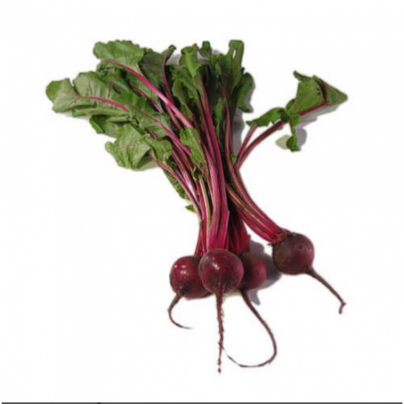 ΣΠΟΡΟΦΥΤΑ ΠΑΝΤΖΑΡΙ 12 ΤΕΜΑΧΙΑ