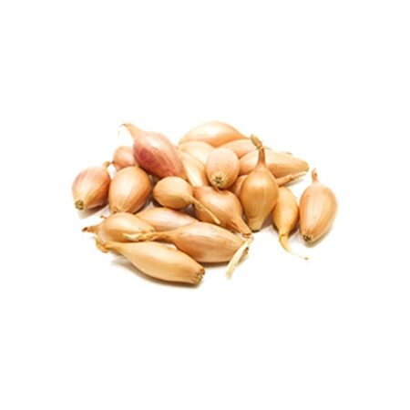 ΣΠΟΡΟΣ ΚΟΚΚΑΡΙ ΘΗΒΑΣ ΨΙΛΟ 1kg
