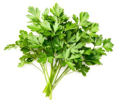 ΣΠΟΡΟΦΥΤΑ ΜΑΙΝΤΑΝΟΣ ΓΙΓΑΣ