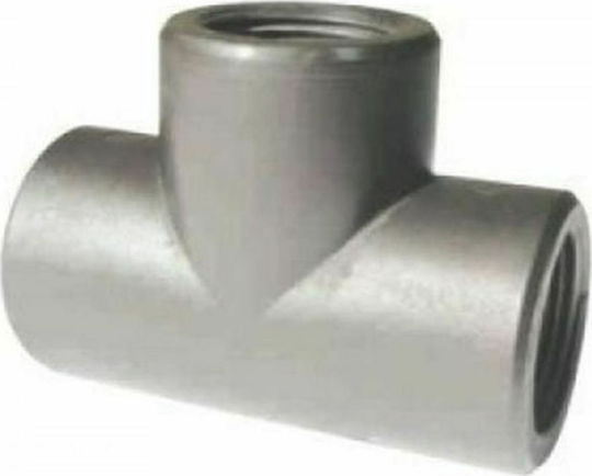 ΤΑΦ ΘΗΛΥΚΟ Palaplast